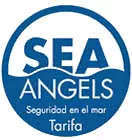 sea angels